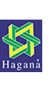 haganaseguranca